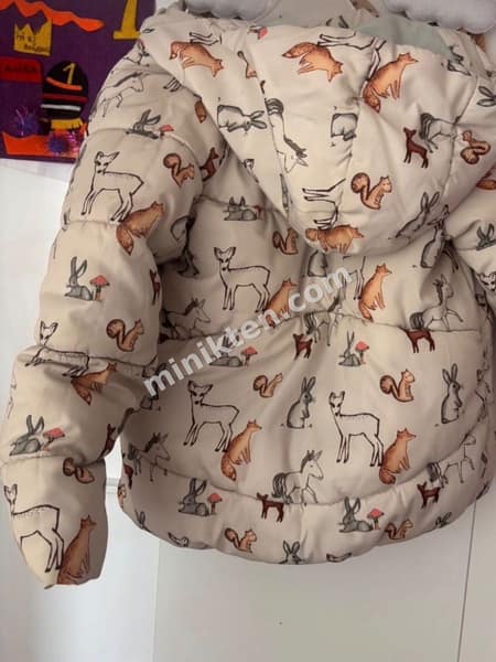 Next baby kışlık mont küçük 2