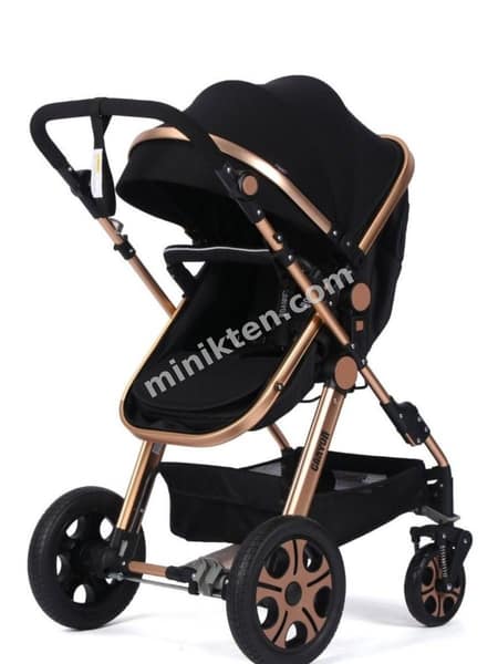 Baby plus Canyon travel sistem Bebek Arabası  küçük 1